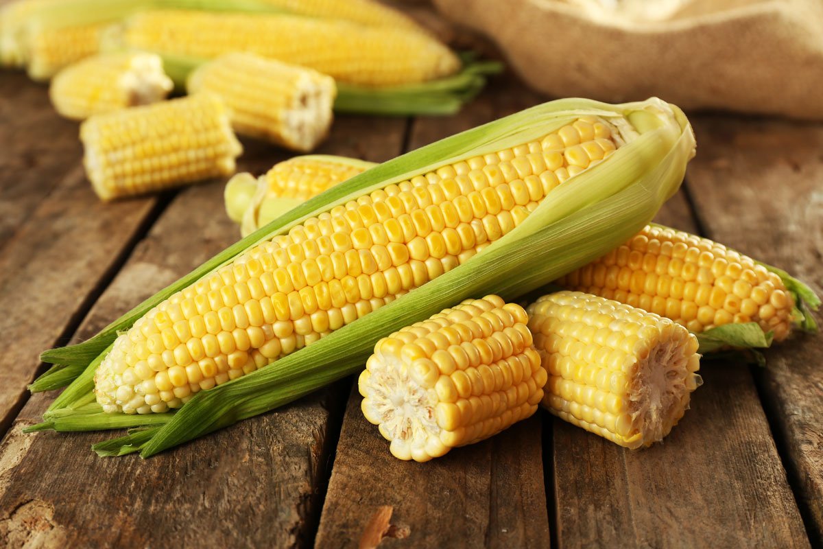 الذرة الصفراء تصنف كأفضل أصناف الطعام